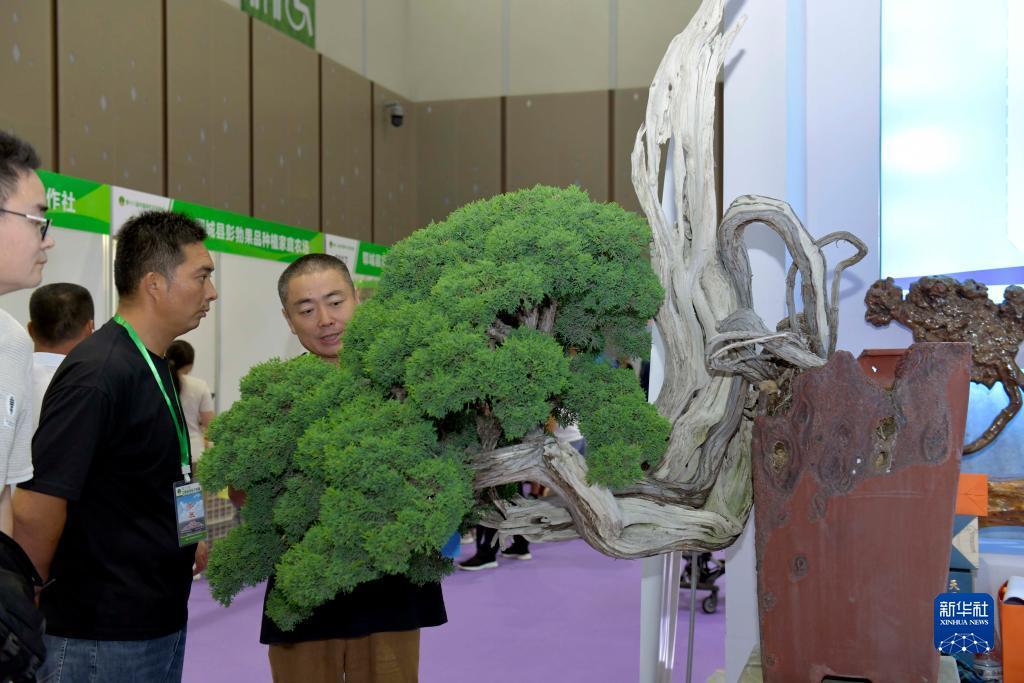 必发老虎机网址